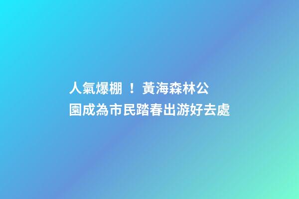 人氣爆棚！黃海森林公園成為市民踏春出游好去處